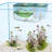 Aqua Nursery And Hatchery Breeding Box