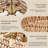 Boho Rattan Chandelier Light Fixture