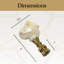 Faiteau de lampe en coquillage naturel-36759292