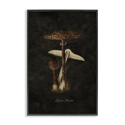 Dark Woodland Mushroom Giclee Art by Tina Higgins Designs, Inc.