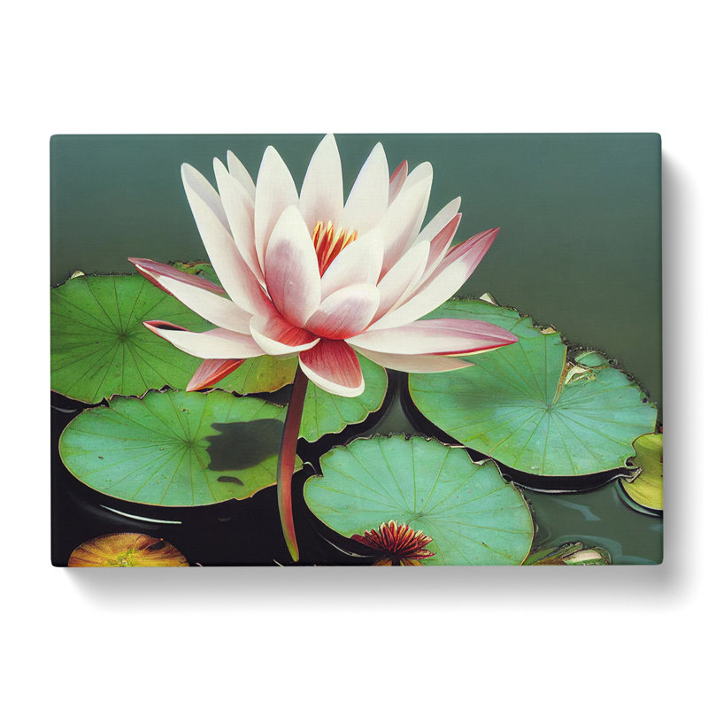 Serene Water Lily - Wrapped Canvas, 35cm H x 50cm W x 3cm D