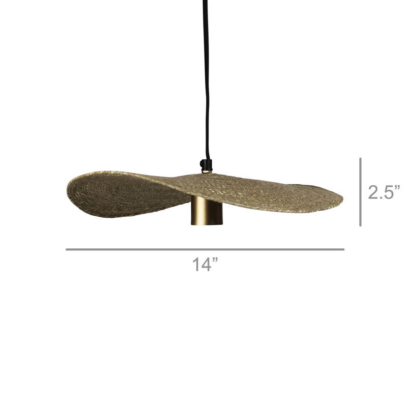Luminaire suspendu simple à 1 lumière Asharie