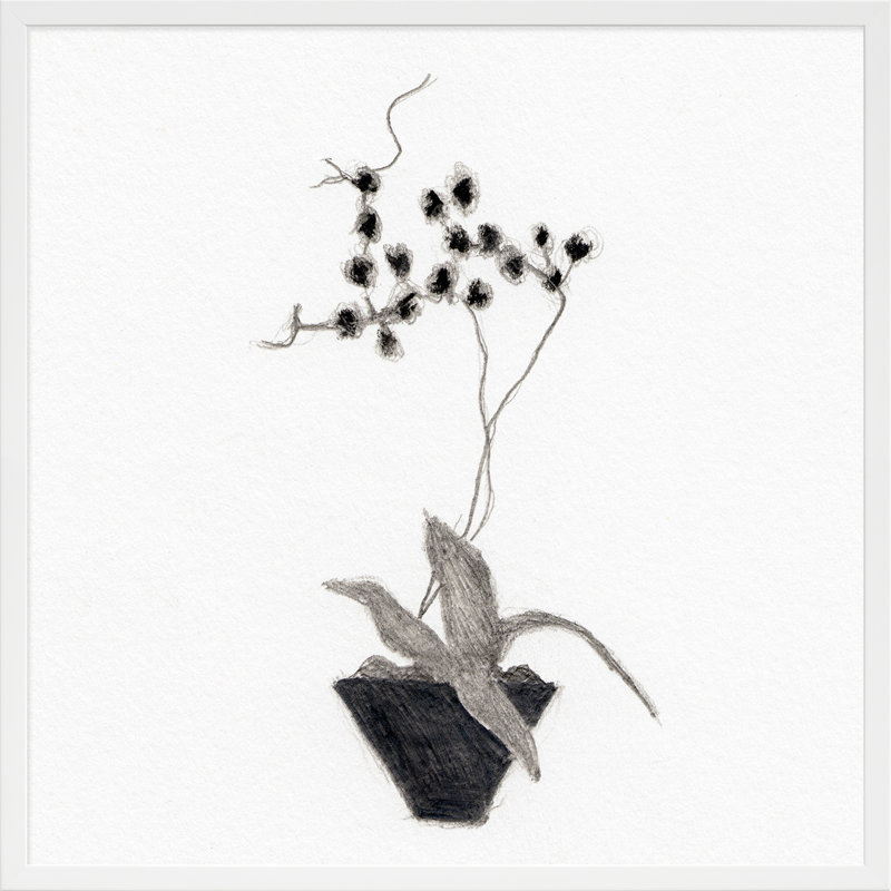 Orchid Study 2 Print by Simon Schneiderman, 24" H x 24" W x 1.25" D, White Wood