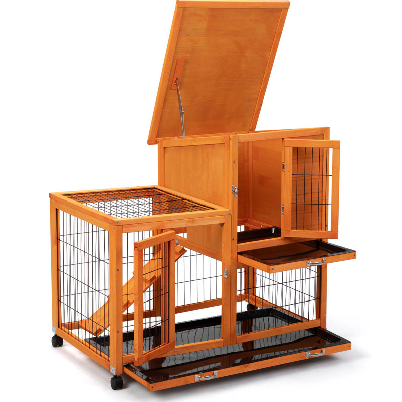 Abri pour animaux spacieux et orange - convient à diverses petites créatures, toit imperméable et roulant, amovible avec de grands plateaux intérieurs amovibles, facile d'entretien