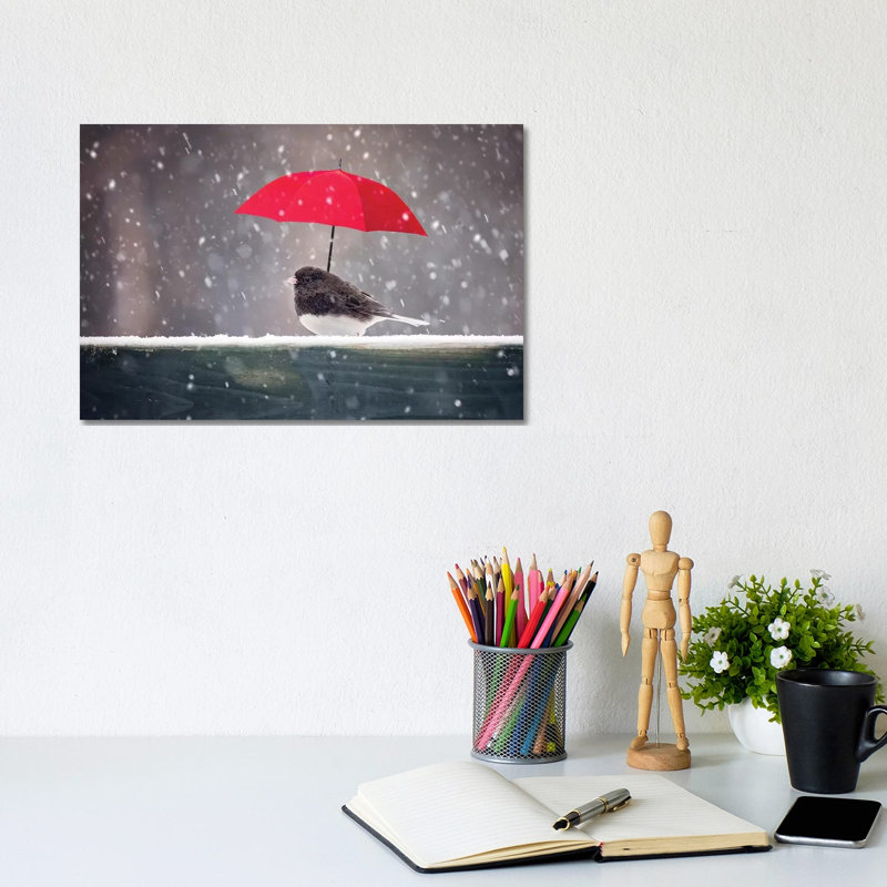 Junco And Umbrella by Karen Burke - Wrapped Canvas Print, 20.32cm H x 30.48cm W x 1.905cm D