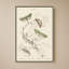Mariposas I par V. Larkspar - Impression sur toile-1204374115-1204374114