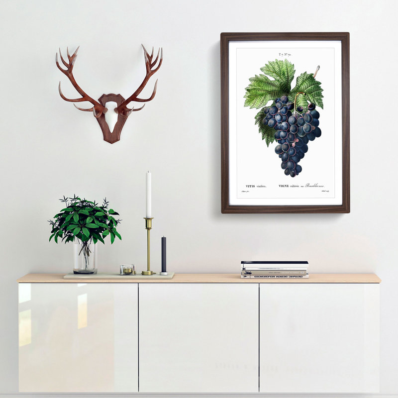 Blue Grapes by Pierre-Joseph Redoute - Framed Print, 65cm H x 48cm W x 2cm D, Walnut Framed