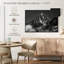 Aiguille verte Alvord Wispy-107870881