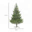Arbre de Noël réaliste en cèdre de 6,4 pi avec 1933 pointes, assemblage facile et conception ignifuge pour la maison et le bureau