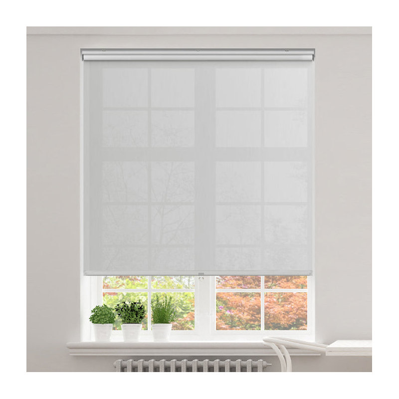 Rideau roulant transparent gris, L 36 po x L 72 po