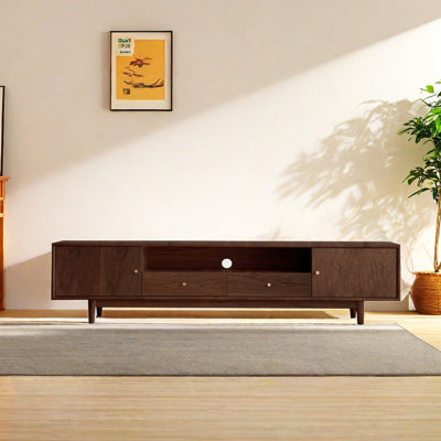 Modern Minimalist TV Stand