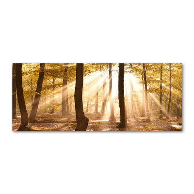 Autumn Forest - No Frame Print on Canvas