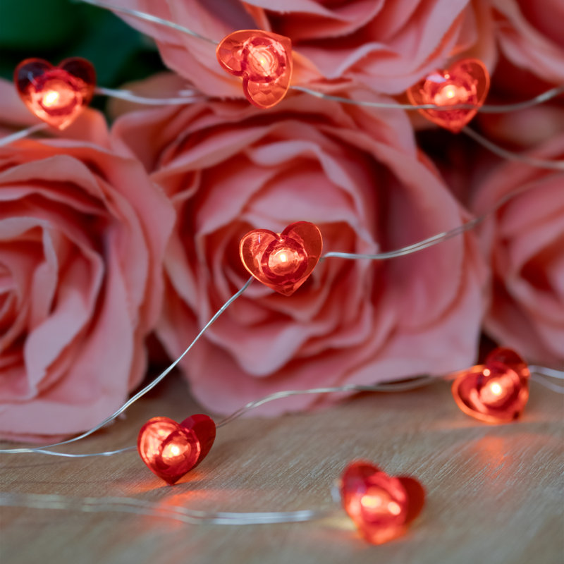 Fairy 20 Light Battery String Lighting