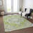Machine Washable Indoor/Outdoor Chayden ACN1036 Rug-891132187