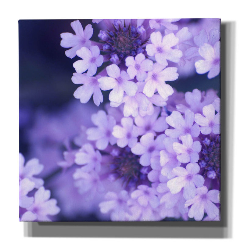 «Fleurs mauves 2» par PhotoINC Studio, H 12 po x l 12 po x P 0,75 po