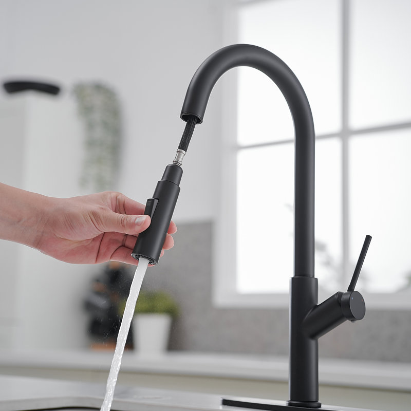 VIBRANTBATH Pull Out Kitchen Faucet, Matte Black