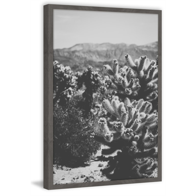 Chollo Cactus 1 Piece Single Picture Frame Wall Art, 91cm H x 61cm W x 4cm D
