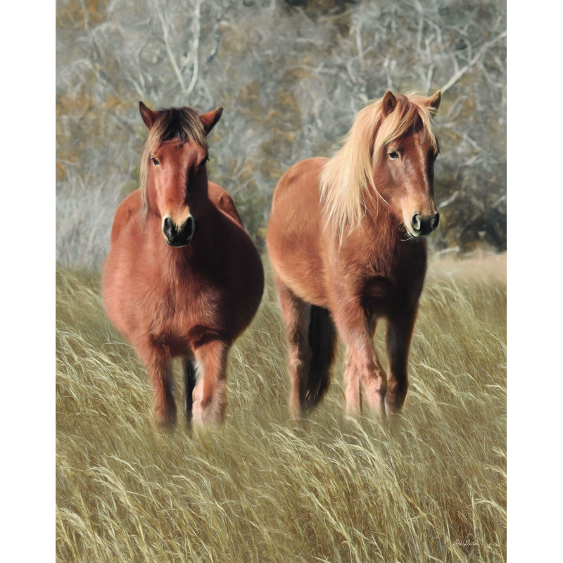«Assateague Horses IV», reproduction sur toile, H 16 po x l 12 po