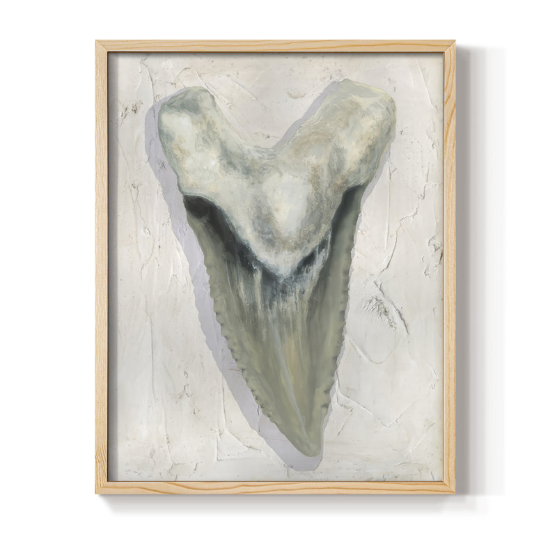 Watercolor Sharks Tooth II Framed Print - Solid Wood, Natural Framed, 11" H x 9" W