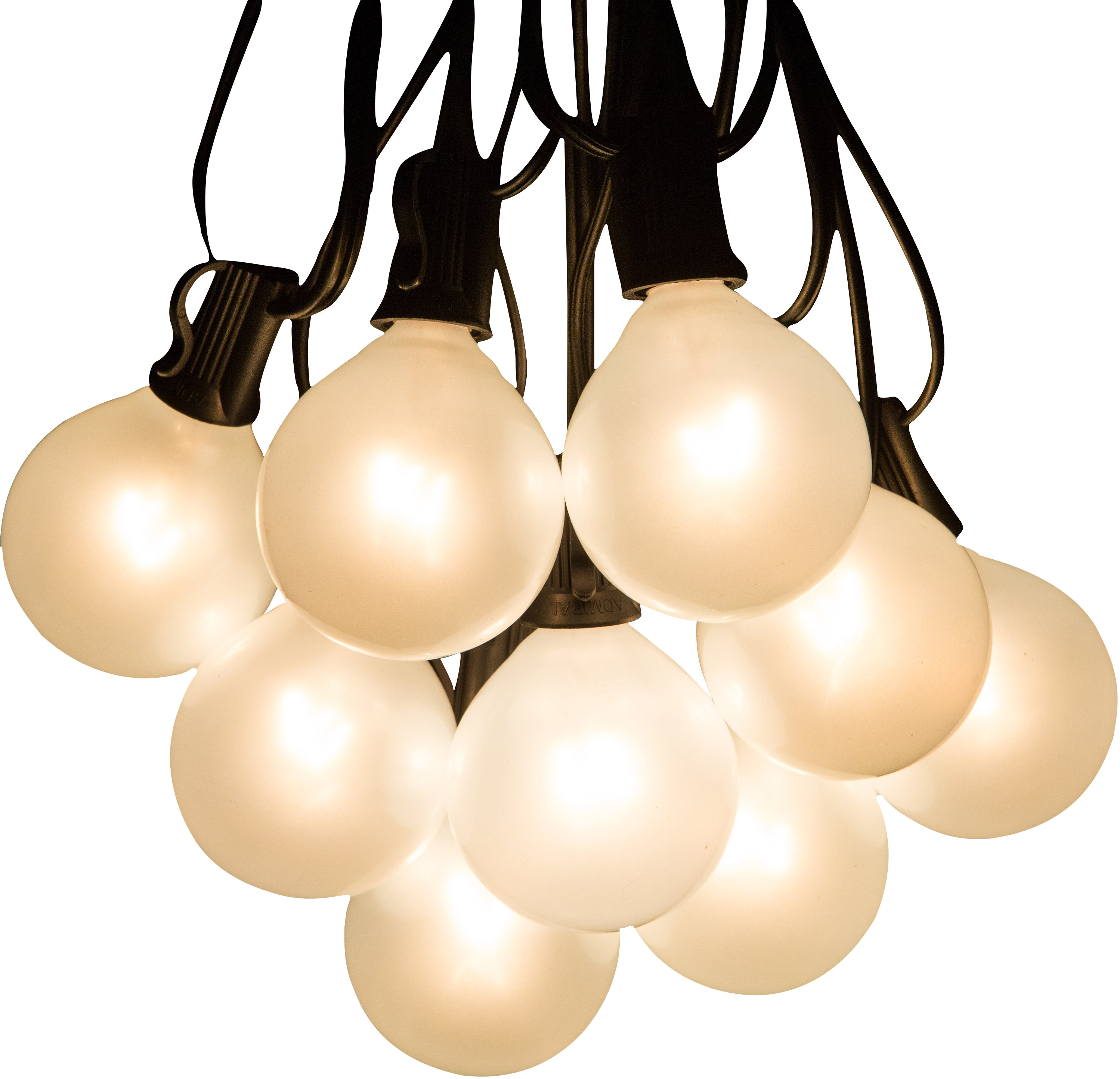Charlton Home® Conness 50" Outdoor 50 - Bulb Globe String Light (End to End Connectable) & Reviews | Wayfair