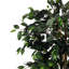 180cm Faux Banyan Tree in Freestanding