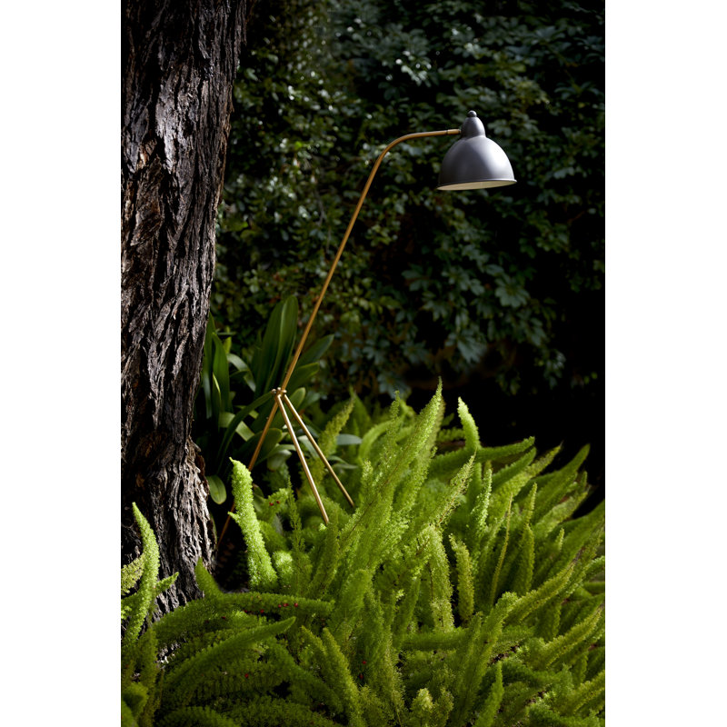 Werner 54'' Gold LED Task Floor Lamp