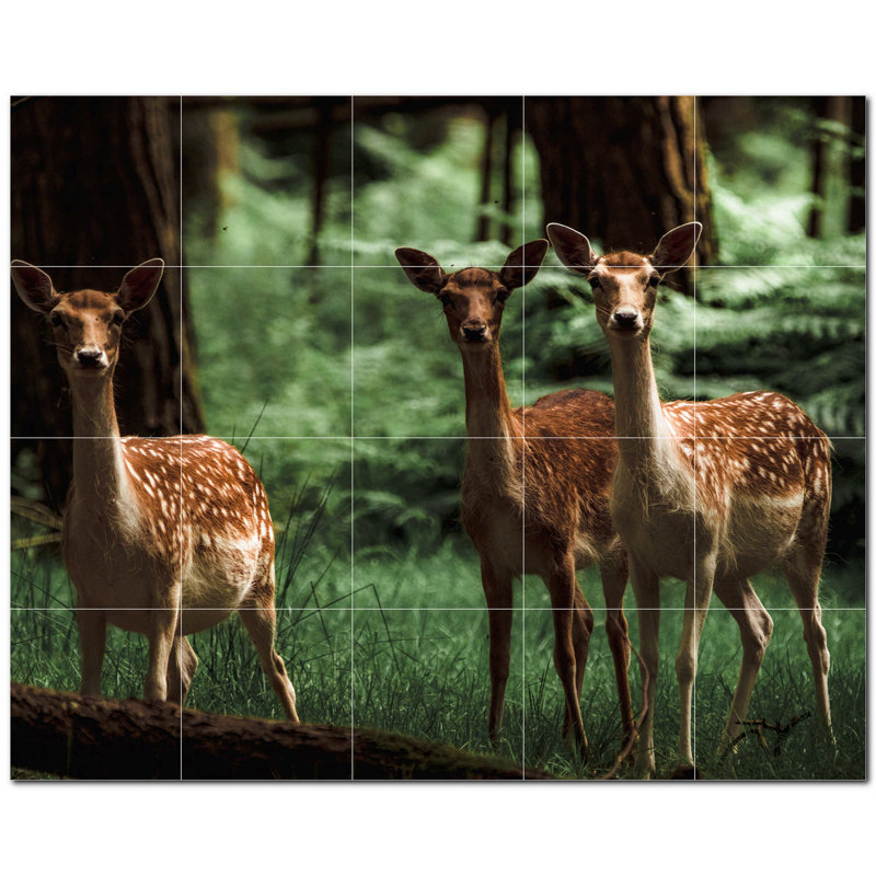 Murale décorative en céramique cerf 8 po x 8 po Deer Photo