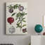 «Pomegranate Composition I», peinture sur toile tendue-2059678445