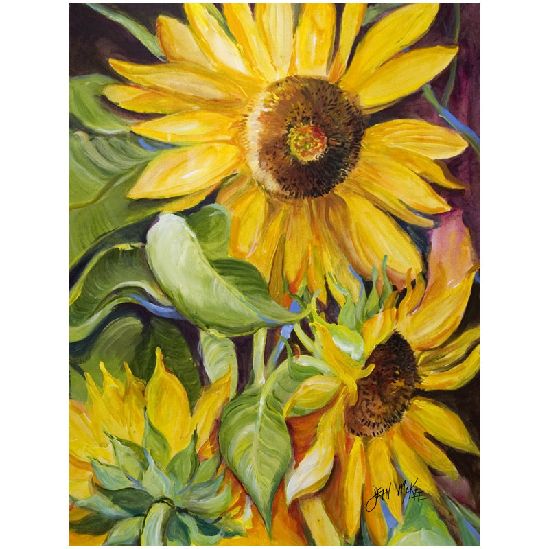 Double Sided 40'' H x 28'' W Polyester House Flag
