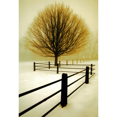 Solitude MCG-PF1062