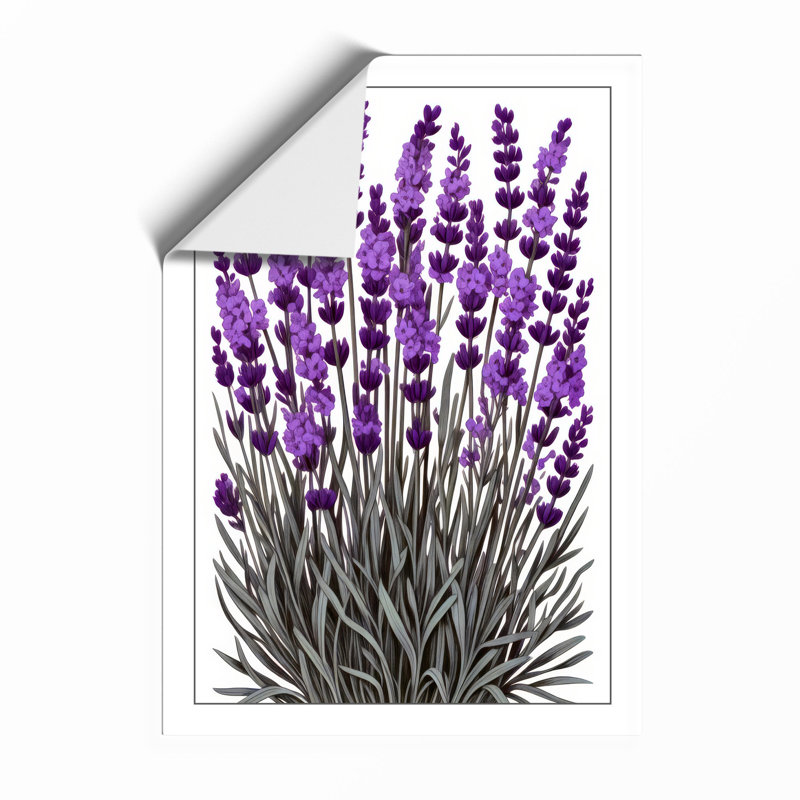 Lavender Study Botanical - Framed Print, Unframed, A4 - 29.7 x 21.0 cm
