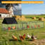 Chicken Run