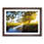 Walnut Framed selected