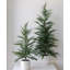 SEASONAL GREENERY TREE S/2 CEDAR POT 2FT-1604586735