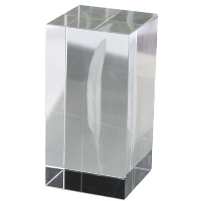Deanna Glass Feather Hologram 