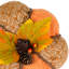 Citrouille orange 8,5 po