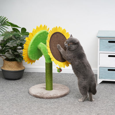 Scratching Post