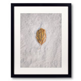 Clash Of Seasons Print by Scott Norris
