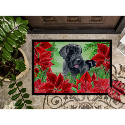 Non-Slip Outdoor Doormat