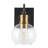 Escondido Iron/Glass Rustic Vintage LED Vanity Light-97602535