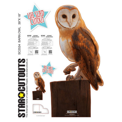 SC2534 - Chouette debout en carton