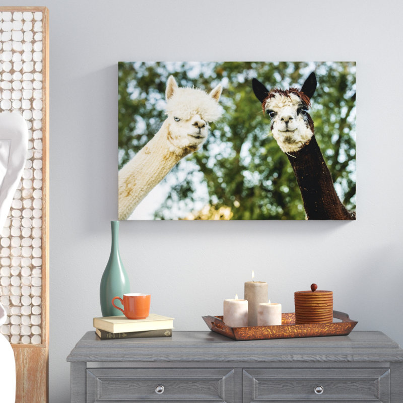Alpaca Portrait III by Tyler Stockton - Wrapped Canvas Photograph, 51cm H x 76cm W, Wrapped Canvas