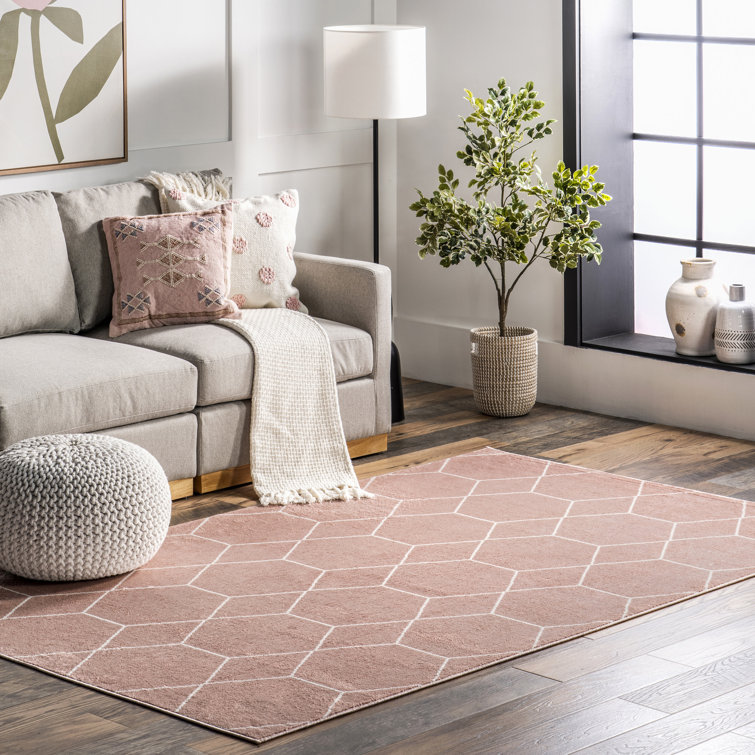 Veronica Geometric Area Rug for Living Room Bedroom Dining Room, Pink