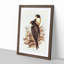 Black-Cheeked Falcons by Elizabeth Gould - Picture Frame Art Print-55512484-55512482