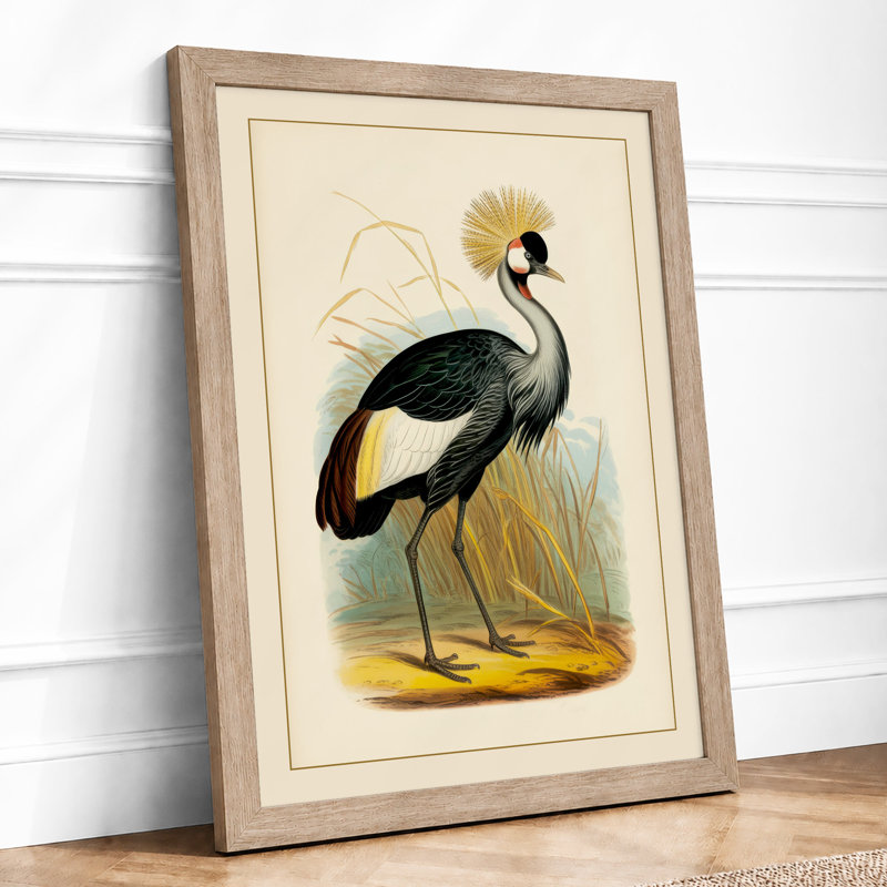 Crowned Crane Study Vintage - Print, A2 - 59.4 x 42.0 cm, Oak