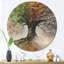 Horloge murale arbre avec quatre saisons-63618493