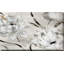 " Misty Morning Blooms " by Katrina Craven Painting Print-88068990
