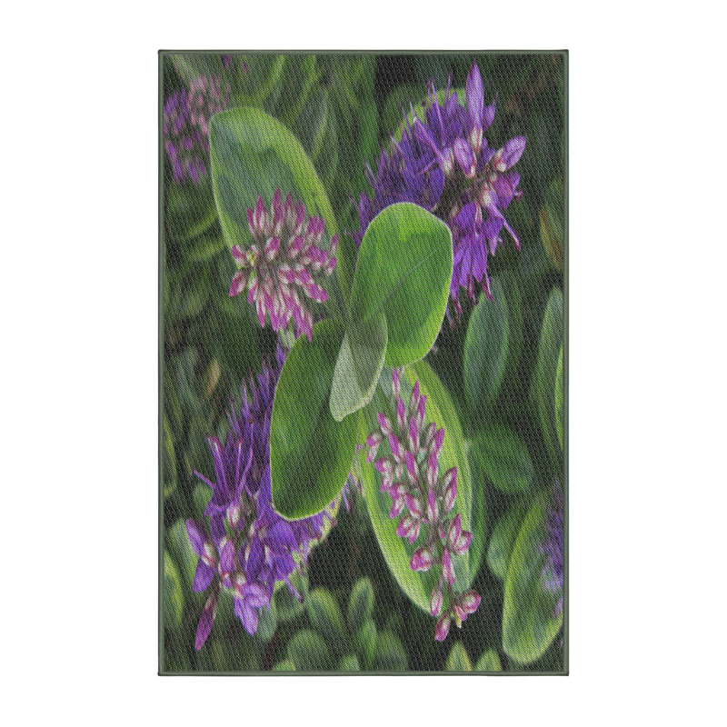 Tapis vert Tito, Rectangle 4 pi x 6 pi