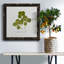 Toile encadrée pressée «Clover II» de qualité supérieure - prête à être accrochée-477127870-477127865