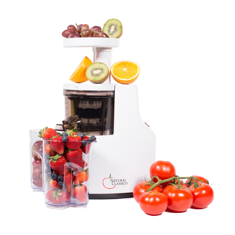 White Electric Slow Masticating Juicer with Reverse Function